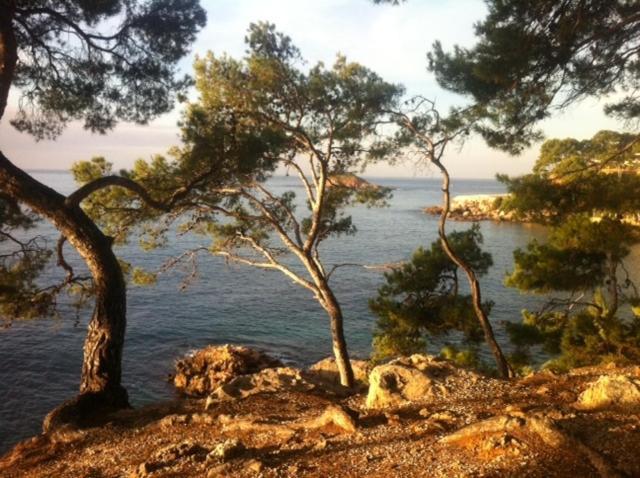 Le Hameau De La Crique De L'Anglaise Bandol Ngoại thất bức ảnh